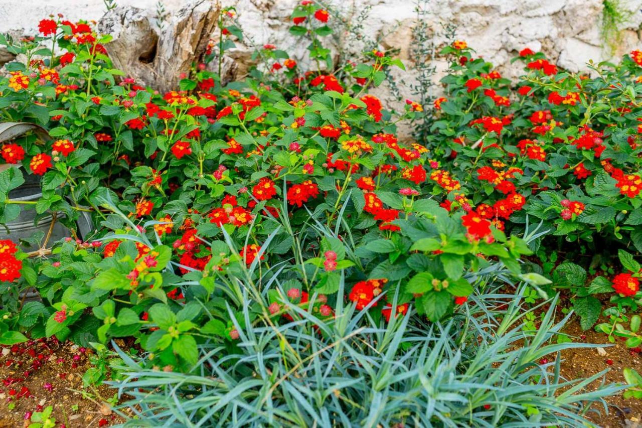 Art Studio Kefalonia Dhavgata ภายนอก รูปภาพ