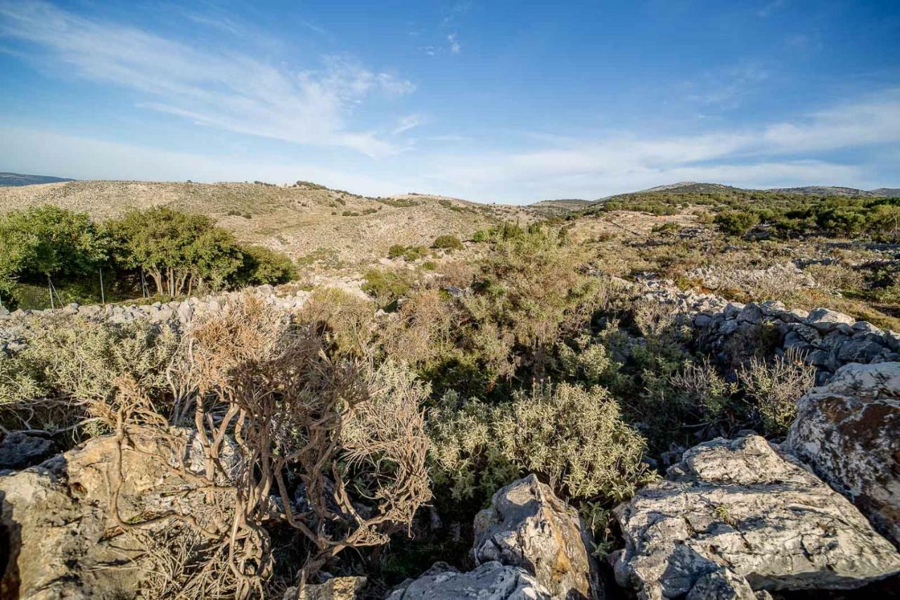 Art Studio Kefalonia Dhavgata ภายนอก รูปภาพ