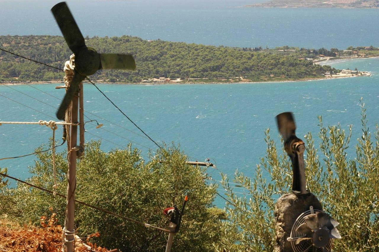 Art Studio Kefalonia Dhavgata ภายนอก รูปภาพ